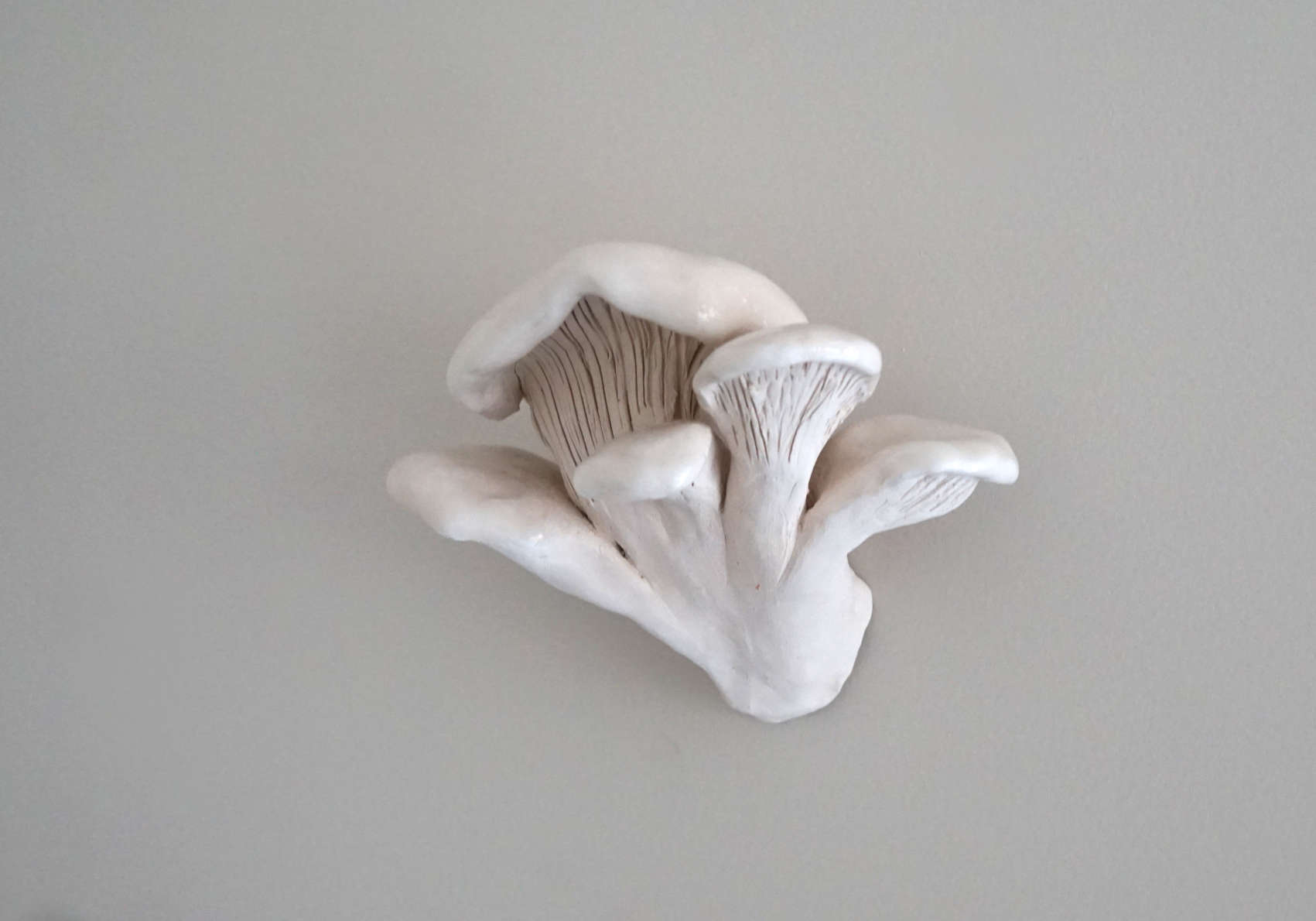 champignon céramique