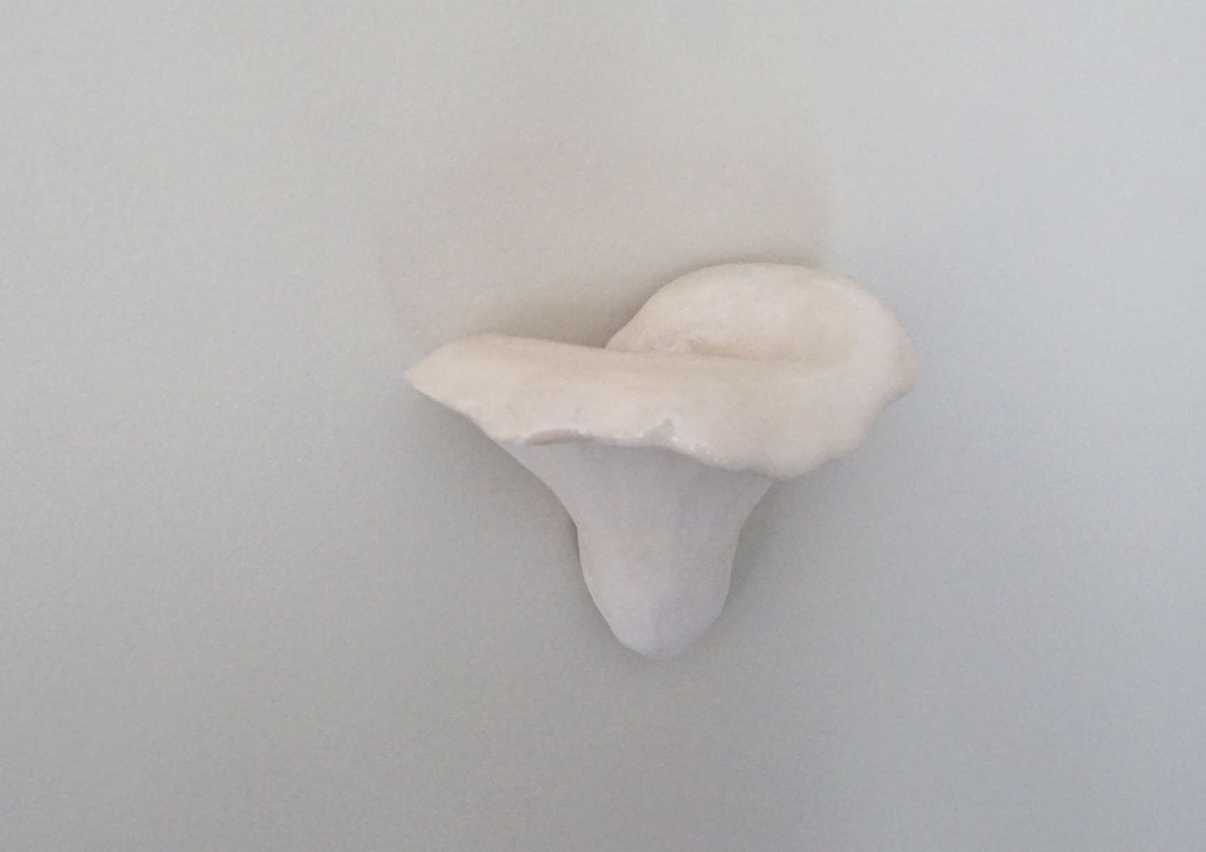 champignon céramique