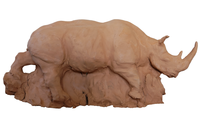 rhinoceros